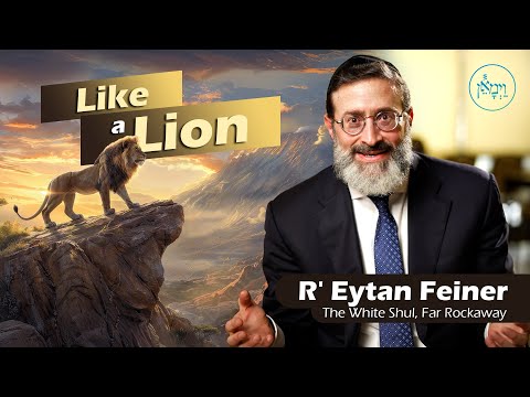 Like a Lion | Rabbi Eytan Feiner