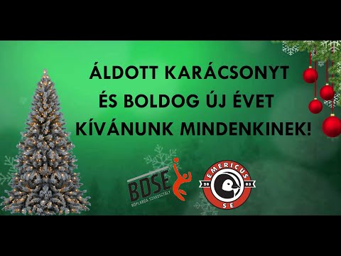 ÁLDOTT KARÁCSONYT ÉS BOLDOG ÚJ ÉVET KÍVÁNUNK!