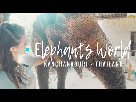 download lagu mp3 mp4 Elephants World Kanchanaburi Thailand, download lagu Elephants World Kanchanaburi Thailand gratis, unduh video klip Elephants World Kanchanaburi Thailand