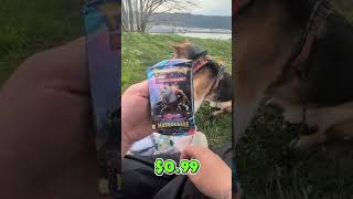 Shiba and Twilight Masquerade... #pokemon #pokemoncards #pokemontcg #tcg #pokémon