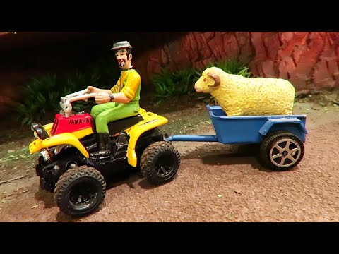 FUNNY SHEEP TRANSPORT