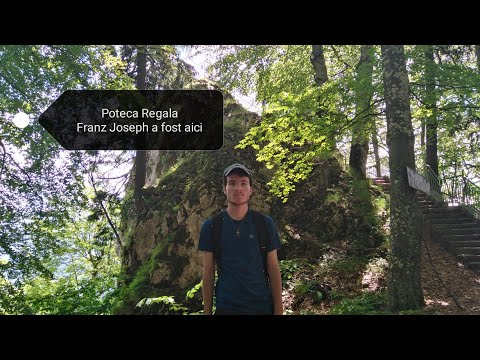 Excursii cu Vlad (Poteca Regala-Cota 1400)