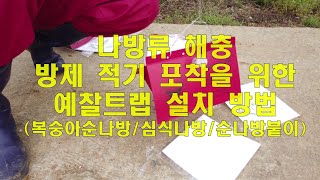 과수 해충 발생시기를 정확히 포착해 방제하세요! (과수 나방류 해충 적기 방제시기 포착을 위한 예찰트랩 설치…