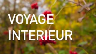 Visualisation - Le voyage intérieur