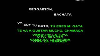 Tocarte (LETRA) - Plan B