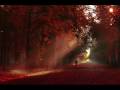 Yiruma - The Day We'll Meet Again Yiruma - The Day We'll Meet Again