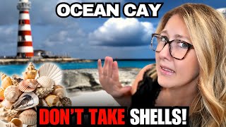 First Visit & Key Learnings: Ocean Cay, Bahamas | MSC's Private Island