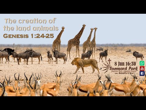 The creation of the land animals - Genesis 1:24-25