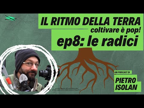 LE RADICI - il ritmo della terra  coltivare è pop! - ep 8