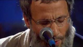 Yusuf - Heaven, Where True Love Goes (Live Yusuf&#39;s Cafe Session 2007) + Lyrics