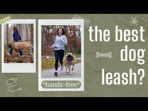 BEST Dog Leash? My Honest Review of the Kurgo Quantum 6-in-1 Leash For Dogs | LEASH BUYING GUIDE