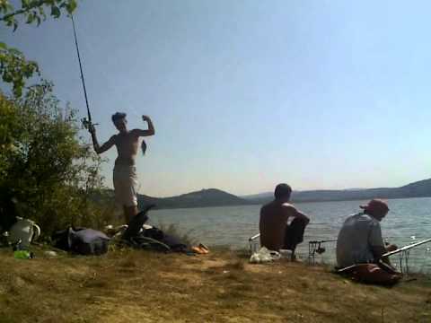 Cel mai mare peste prins de adi din gottlob.mp4