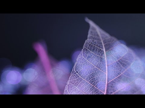 How to root Lg G4 H810 model without bricking