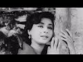 Jaal 1952 Chandni Raate Pyar Ki Baate Ye Raat Ye Chaandani Phir Kaha Sun Jaa Dil Ki Dastan