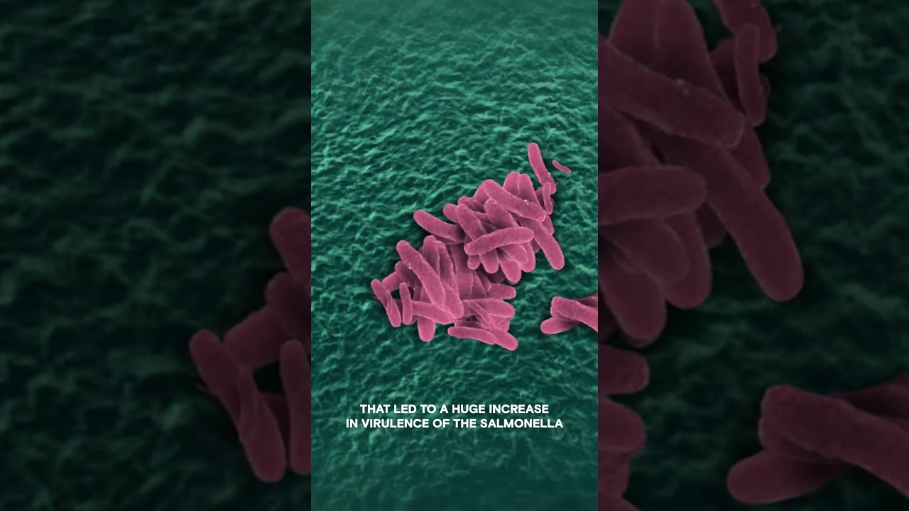 Are Bacteria Space Travelers? | Ancient Aliens | #shorts