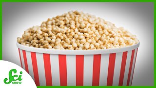 Why Don't We Eat Pop-Quinoa?