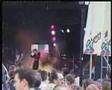 The Gathering - Amity