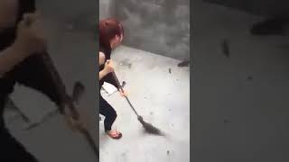 Batalla épica de una chica contra rata