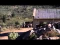 Disgrace (2008) trailer