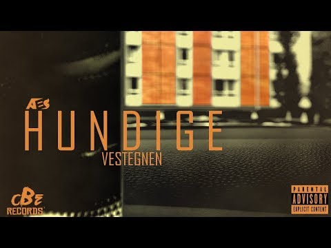 Abi - Hundige Vestegnen (Official Audio)