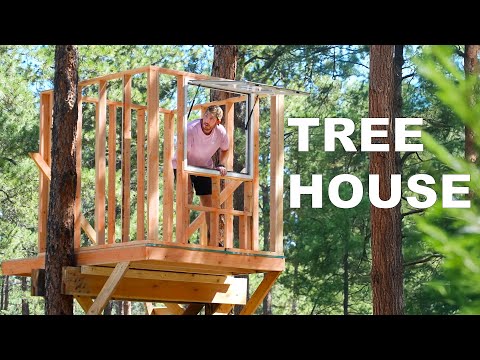 Building A Treehouse In My Backyard