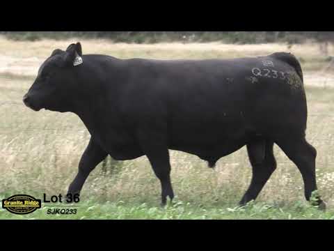 GRANITE RIDGE QUIP Q233