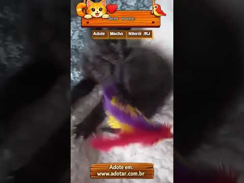 Vídeo de Sem nome