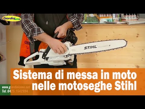Miniatura Video