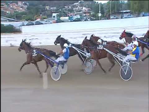 Trotto 22/09/2017 - 7ª corsa