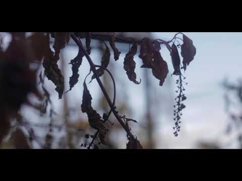 Hunchobossbitch - Been Spinning