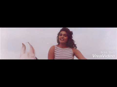 sappi sappi than song