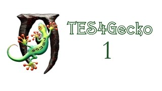 TES4Gecko #1