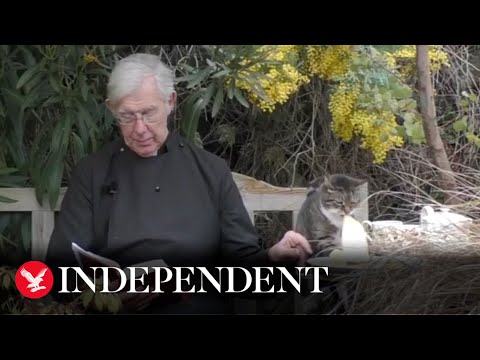 Cat steals Dean of Canterbury's pancakes during morning prayer