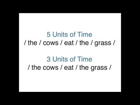 English is Stress-Time Language