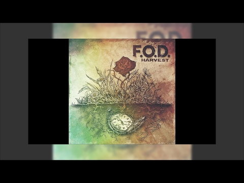 F.O.D.  - Kiss Away