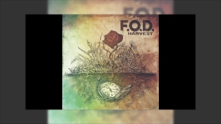 F.O.D.  - Kiss Away