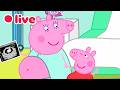 LIVE Cutest Baby Evie Episode Peppa Pig Best Big Sister Moments Kids Cartoons FULL Episodes