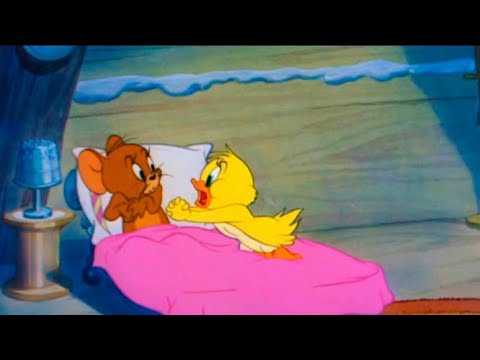 Tom and jerry little quacker status video