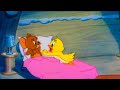 Tom And Jerry Little Quacker Status Video