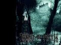 Sodomy And Lust - Cradle Of Filth