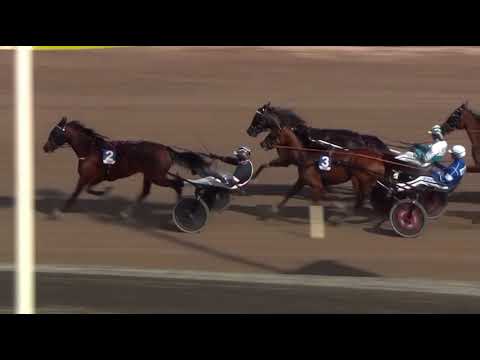 Uttagningslopp 2 Svenskt Trav Oaks 2023 - Knickers Sisu
