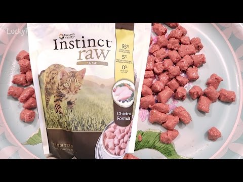 Nature's Variety Instinct Raw Frozen Cat Food Product...