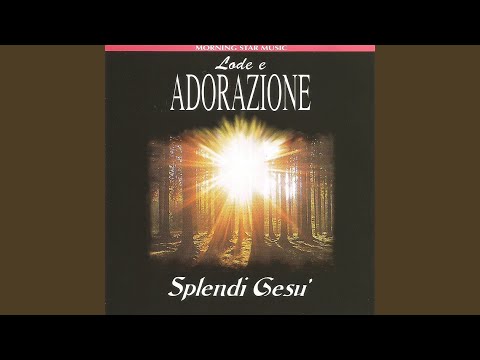 La Festa sta per comnciare