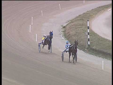 Trotto 10/02/2019 - prova di qualifica