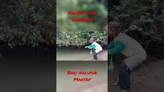 Download lagu mancing di rawa tengah hutan https://youtu.be/m0bCMqVrzDI https://youtu.be/xasnEYjt2Fc mp3