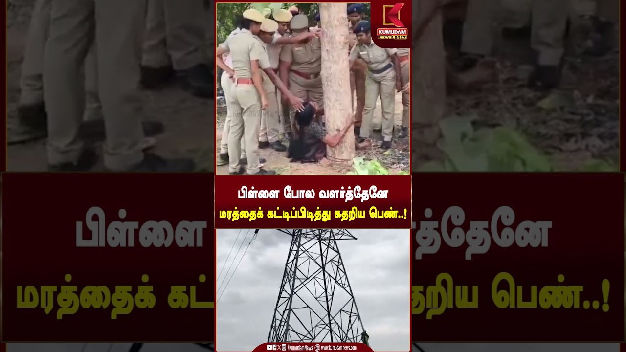 பிள்ளை போல வளர்த்தேனே..! மரத்தைக் கட்டிப்பிடித்து கதறிய பெண் | Kallakurichi | Kumudam News #shorts