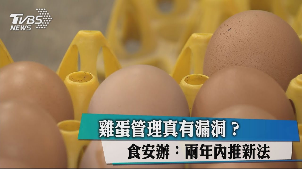 雞蛋管理漏洞多 食安辦:兩年內推動新法令