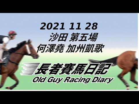 2021 11 28 沙田 第五場 何澤堯 加州凱歌