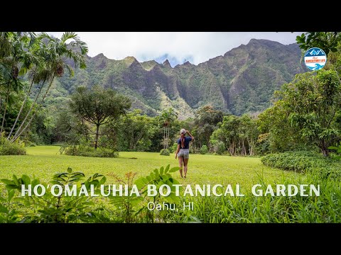 Ho'omaluhia, the Most Beautiful Botanical Garden in Oahu, HI