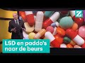 Zo gaan illegale drugs legaal naar de beurs ?  • Z zoekt uit